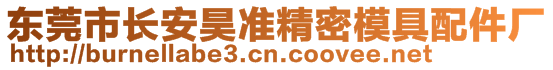 東莞市長安昊準精密模具配件廠