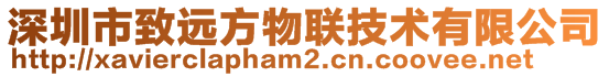 深圳市致远方物联技术有限公司