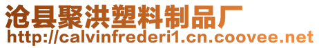 滄縣聚洪塑料制品廠