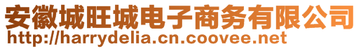 安徽城旺城電子商務有限公司