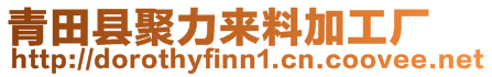 青田縣聚力來料加工廠