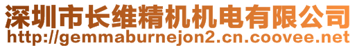 深圳市長維精機機電有限公司