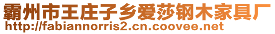 霸州市王莊子鄉愛莎鋼木家具廠