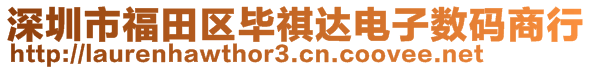 深圳市福田區(qū)畢祺達電子數(shù)碼商行