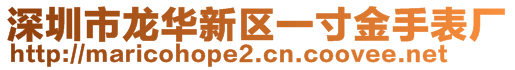 深圳市龍華新區(qū)一寸金手表廠