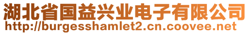 湖北省國(guó)益興業(yè)電子有限公司