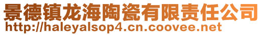 景德鎮龍海陶瓷有限責任公司