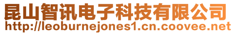 昆山智訊電子科技有限公司