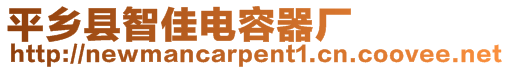 平鄉(xiāng)縣智佳電容器廠