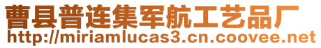 曹縣普連集軍航工藝品廠