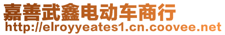 嘉善武鑫電動車商行