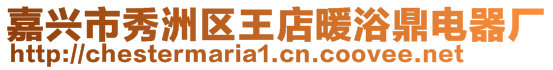 嘉興市秀洲區(qū)王店暖浴鼎電器廠