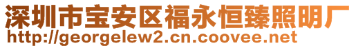 深圳市宝安区福永恒臻照明厂