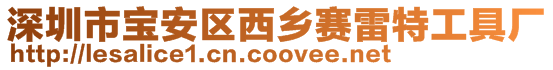 深圳市寶安區(qū)西鄉(xiāng)賽雷特工具廠