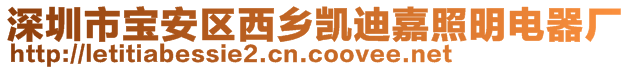 深圳市寶安區(qū)西鄉(xiāng)凱迪嘉照明電器廠