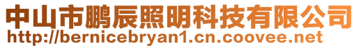 中山市鵬辰照明科技有限公司