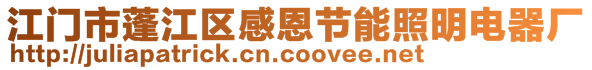 江門市蓬江區(qū)感恩節(jié)能照明電器廠