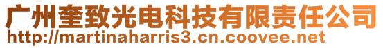 廣州奎致光電科技有限責任公司