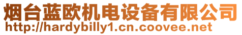 煙臺(tái)藍(lán)歐機(jī)電設(shè)備有限公司