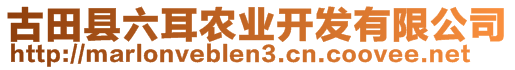 古田縣六耳農(nóng)業(yè)開發(fā)有限公司