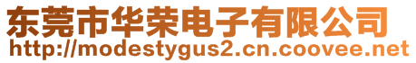 東莞市華榮電子有限公司