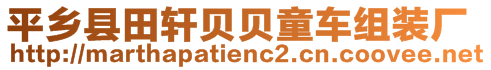 平鄉(xiāng)縣田軒貝貝童車(chē)組裝廠