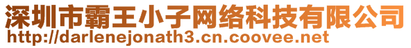 深圳市霸王小子網絡科技有限公司