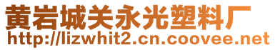 黄岩城关永光塑料厂