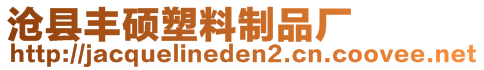 滄縣豐碩塑料制品廠