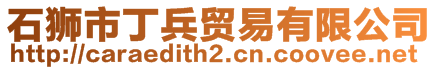 石獅市丁兵貿(mào)易有限公司