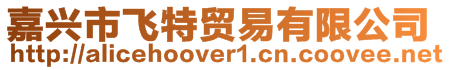 嘉興市飛特貿易有限公司