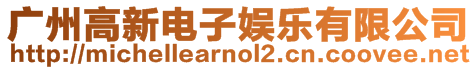 廣州高新電子娛樂有限公司