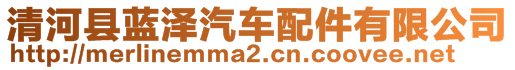 清河縣藍澤汽車配件有限公司
