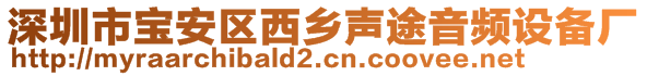 深圳市寶安區(qū)西鄉(xiāng)聲途音頻設備廠