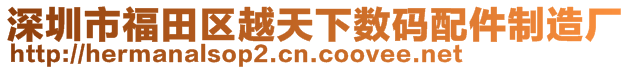 深圳市福田區越天下數碼配件制造廠
