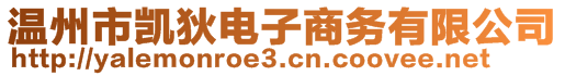 溫州市凱狄電子商務(wù)有限公司