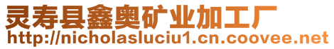 靈壽縣鑫奧礦業(yè)加工廠