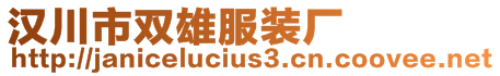 漢川市雙雄服裝廠