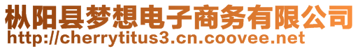 樅陽縣夢(mèng)想電子商務(wù)有限公司