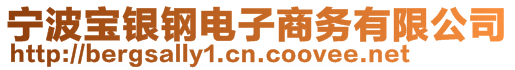 寧波寶銀鋼電子商務(wù)有限公司