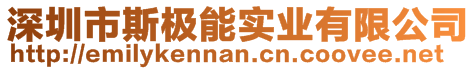 深圳市斯極能實業有限公司