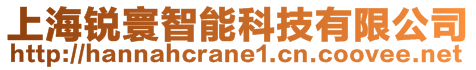 上海銳寰智能科技有限公司