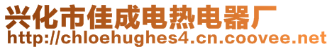 興化市佳成電熱電器廠