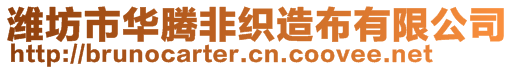 濰坊市華騰非織造布有限公司