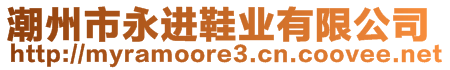 潮州市永進(jìn)鞋業(yè)有限公司