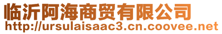 临沂阿海商贸有限公司