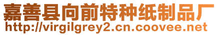 嘉善縣向前特種紙制品廠