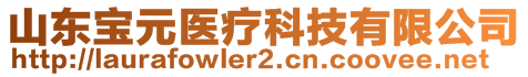 山東寶元醫療科技有限公司