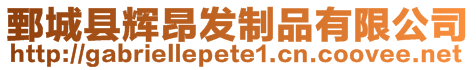 鄄城縣輝昂發(fā)制品有限公司