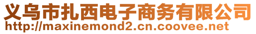 義烏市扎西電子商務(wù)有限公司